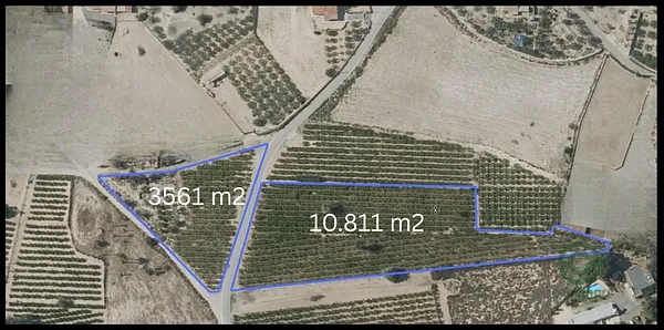 Spot image