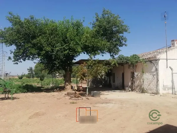 Spot image