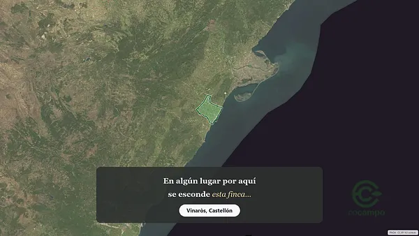 Spot image