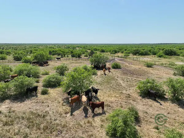Finca ganadera de 7055 ha en venta en Formosa