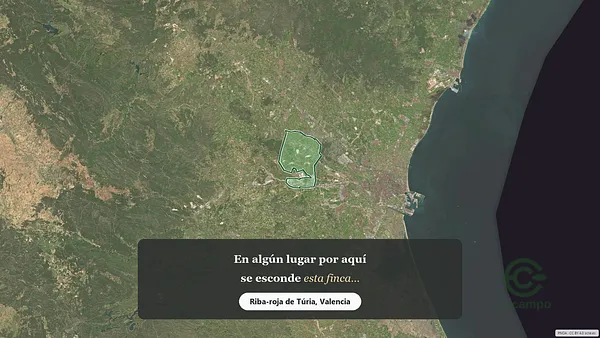 Spot image