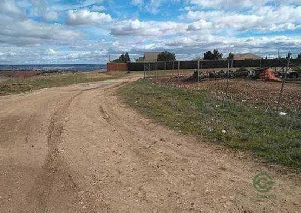 Spot image