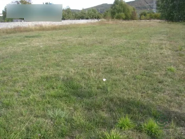 Spot image