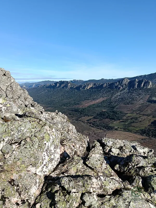 Spot image