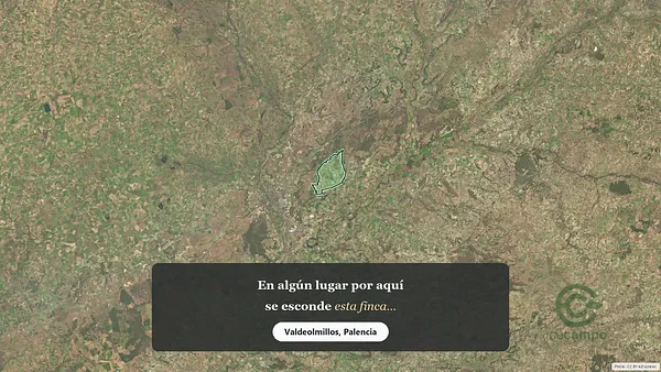 Spot image