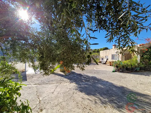Spot image