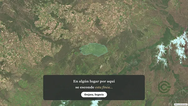 Spot image
