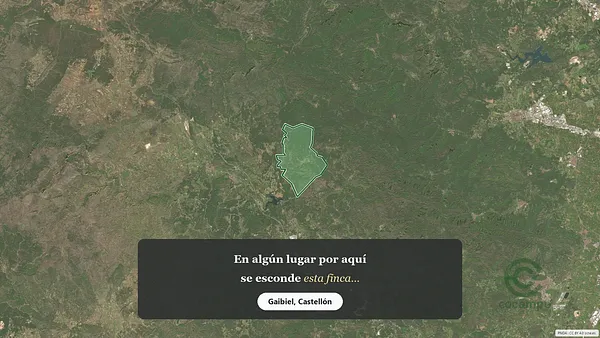 Spot image