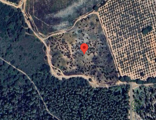 Finca rústica de 3 ha en venta en Sevilla