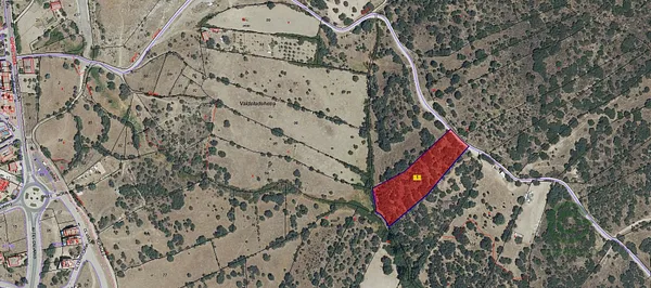 Spot image