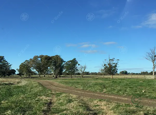 Finca rústica de 370 ha en venta en Buenos aires