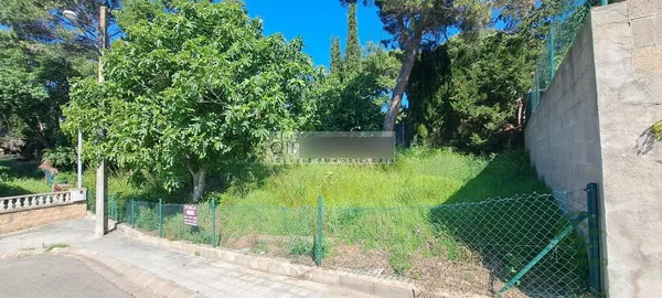 Spot image
