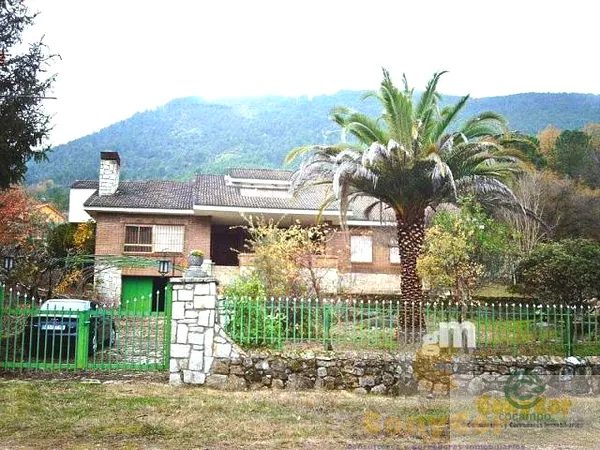 Spot image