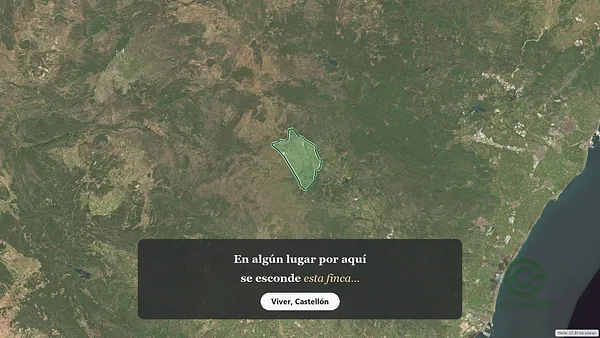 Spot image