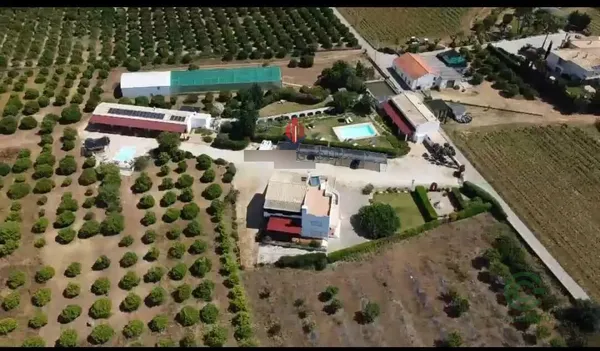 Spot image