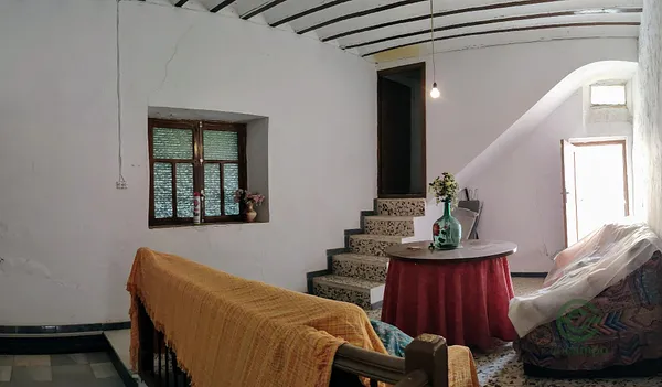 Spot image