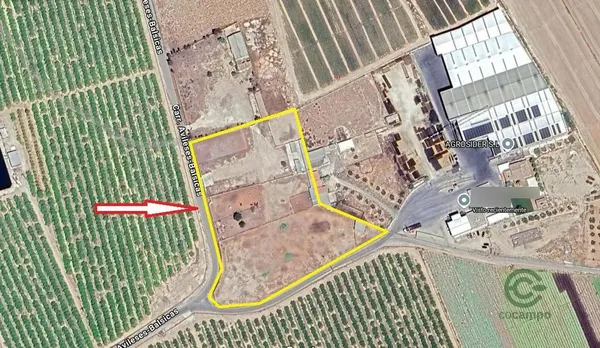 Spot image