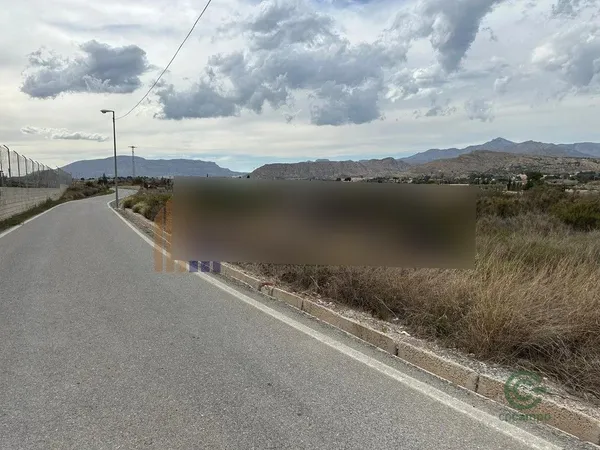 Spot image