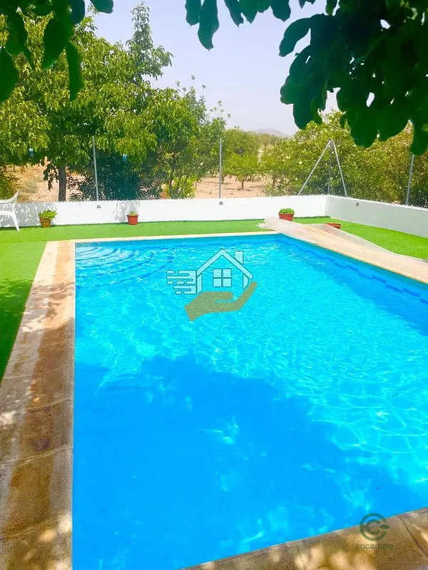 Spot image