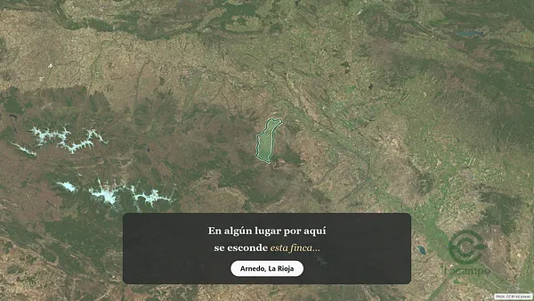 Spot image