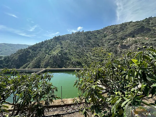 Spot image