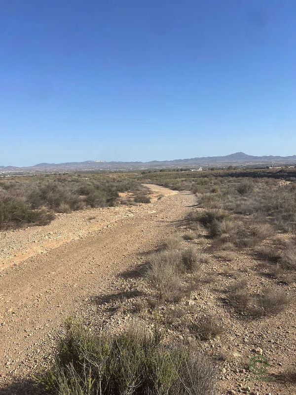 Finca rústica de 27,58 ha en venta en Fuente Álamo de Murcia, Murcia