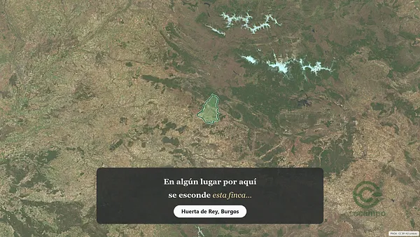 Spot image