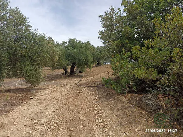 Finca rústica de 1,23 ha en venta en Sorihuela del Guadalimar, Jaén
