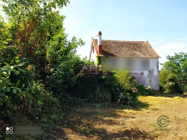 Finca rústica de 1,5 ha en venta en Naron, La coruna