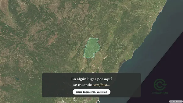 Spot image