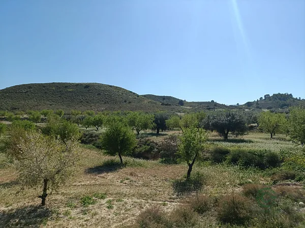 Spot image