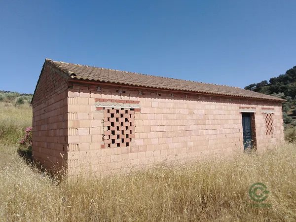 Finca agrícola de 2,8 ha en venta en Málaga