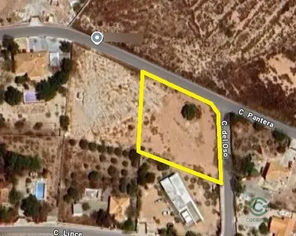 Spot image