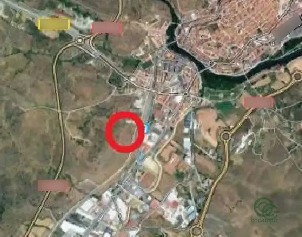 Spot image