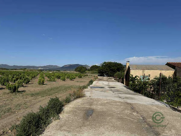 Finca rústica de 0,11 ha en venta en Villena, Alicante