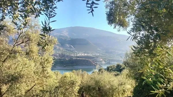 Spot image
