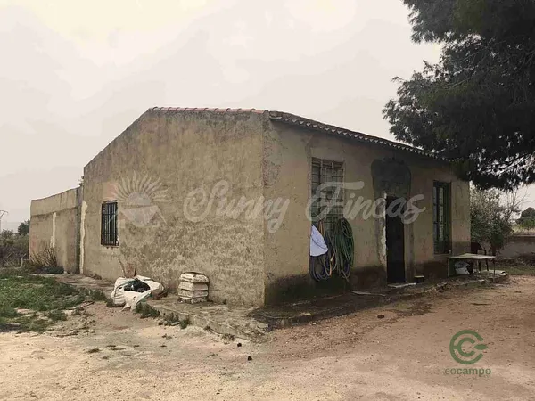 Finca rústica de 0,2 ha en venta en Monovar-monover, Alicante