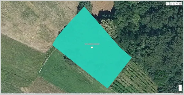 Spot image