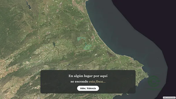 Spot image