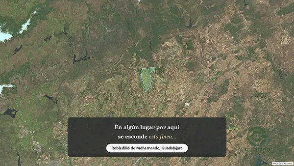 Spot image