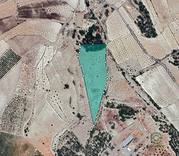 Spot image
