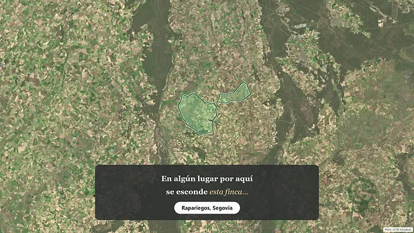 Spot image