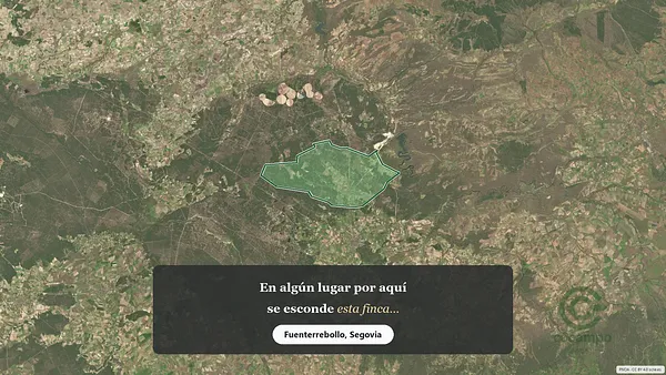 Spot image