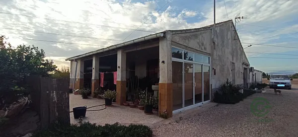 Finca rústica de 2,7 ha en venta en Elche pedanias, Alicante