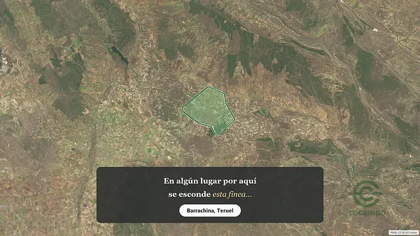 Spot image