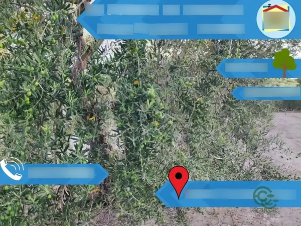 Spot image