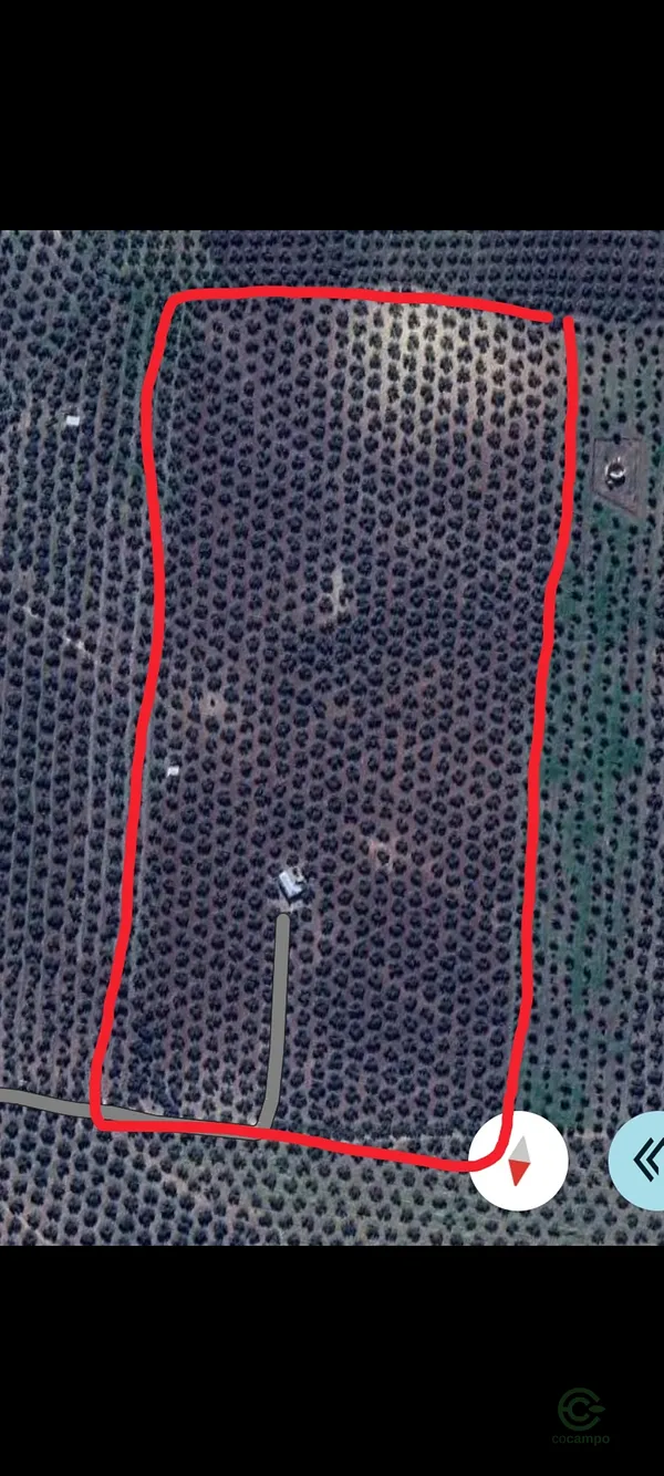 Spot image