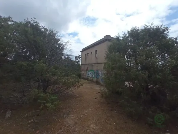 Spot image