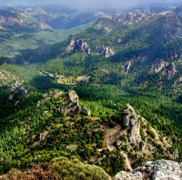 Finca rústica de 196 ha en venta en Siles, Jaén