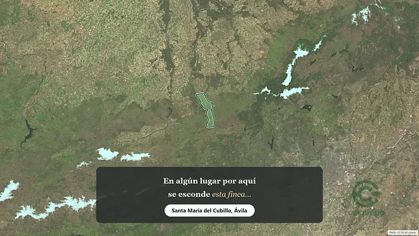 Spot image